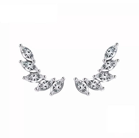 Aros Winny