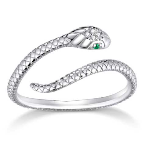 Anillo Serpiente Plata